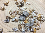 2in1 Breastmilk And Umbilical Cord Fragment European Bead Charm
