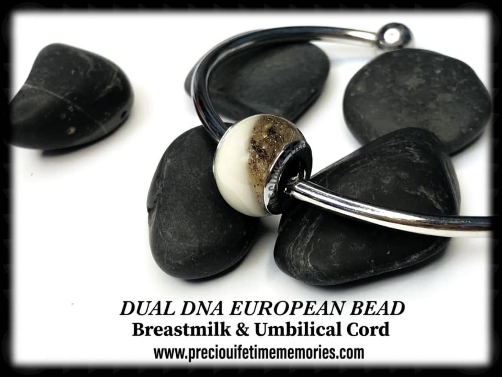 2in1 Dual Inclusion European Bead Charm