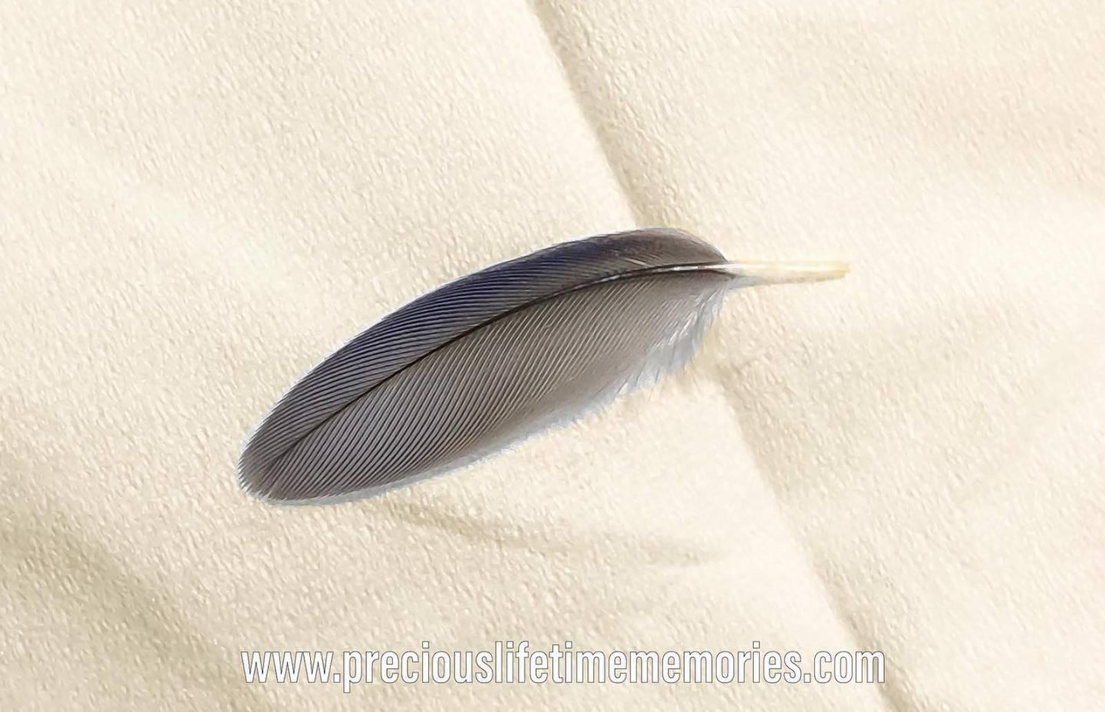 Cremation Full Ashes PM Flakes Pendant (25mm)