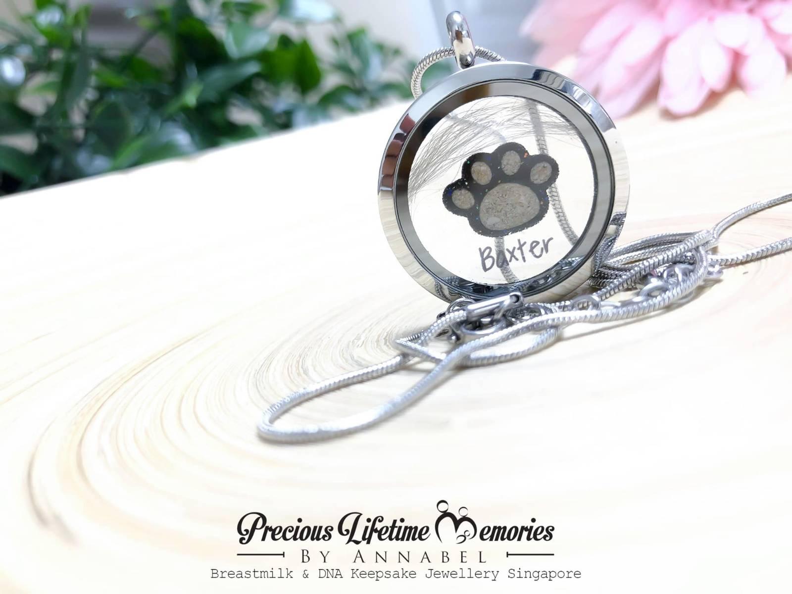 Pet Cremation Paw Ashes Glass Locket