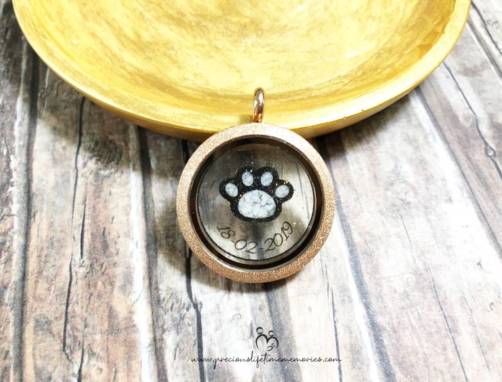 Pet Cremation Paw Ashes Glass Locket