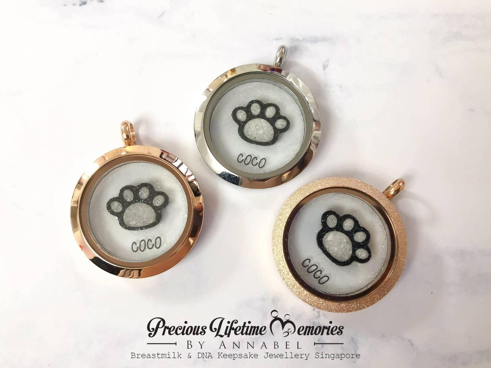 Pet Cremation Paw Ashes Glass Locket