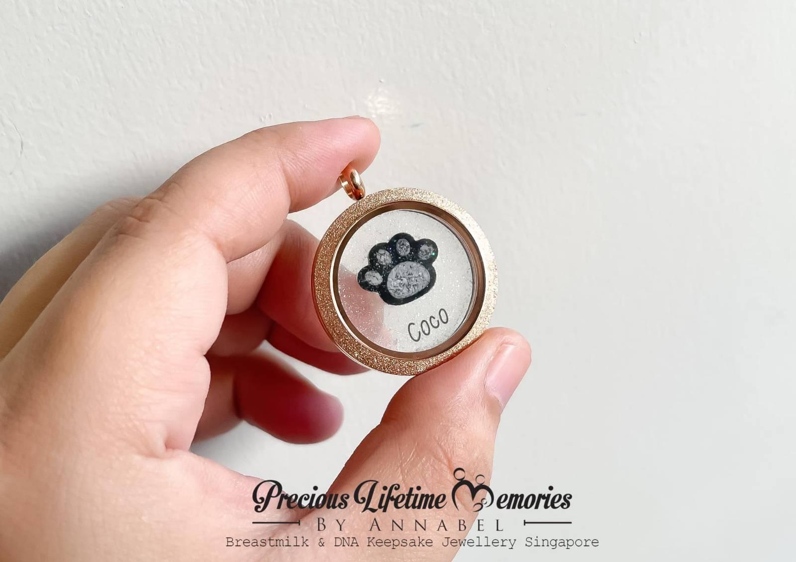 Pet Cremation Paw Ashes Glass Locket