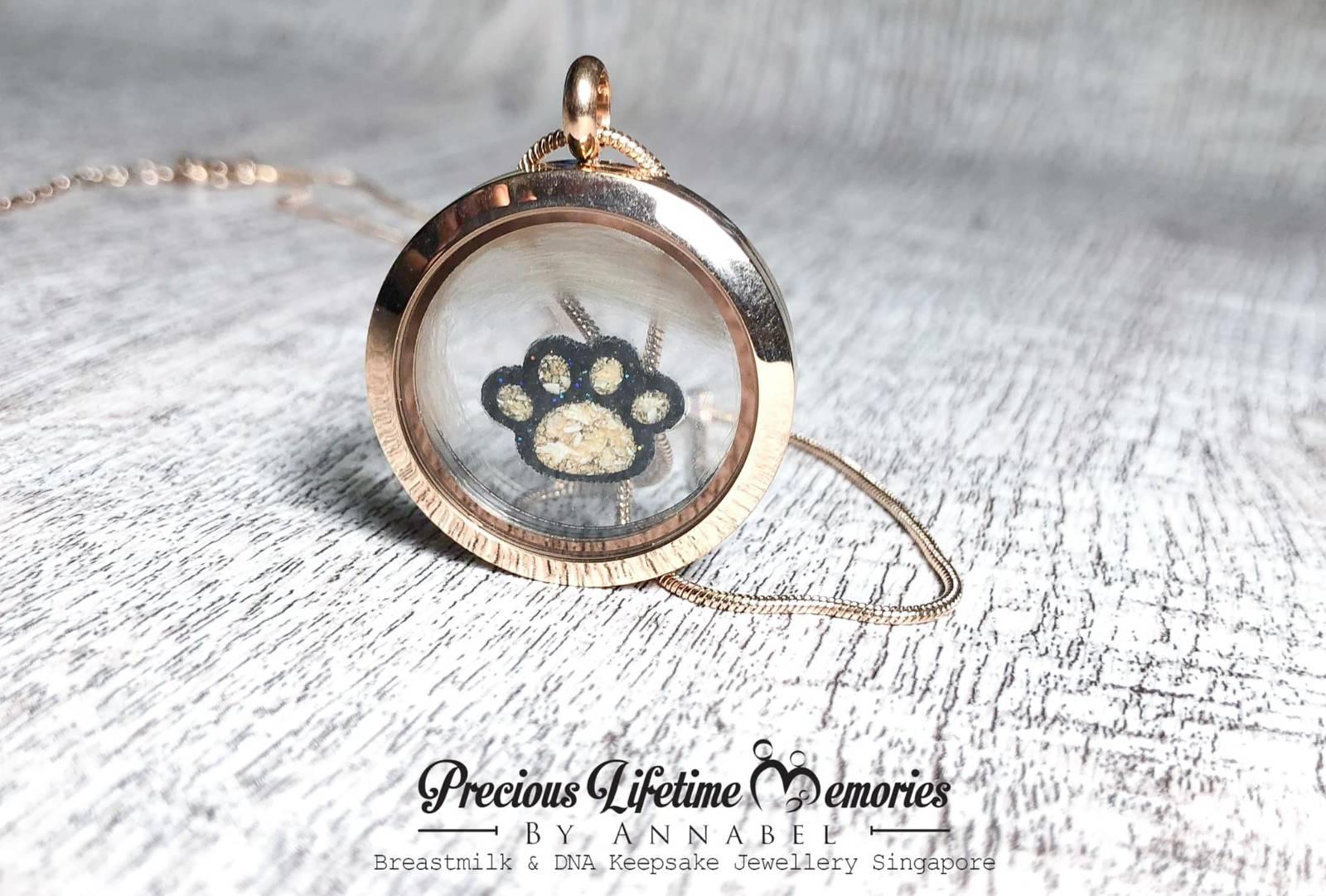 Pet Cremation Paw Ashes Glass Locket